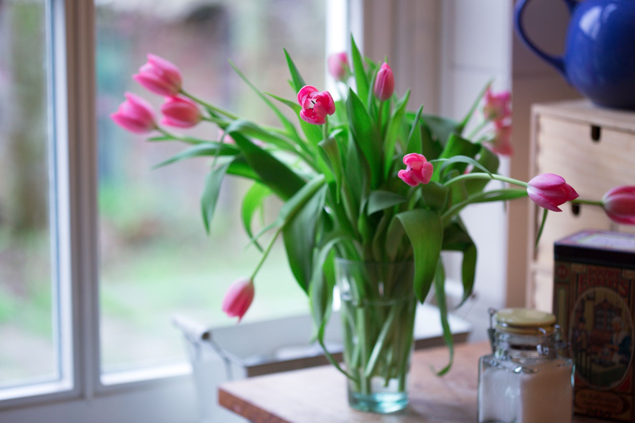 Beautiful Pink Tulips in a Vase